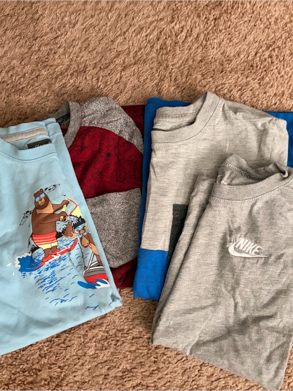 Bear Adventure Pack – 4 Boys Shirts Size 10/12 | Graphic & Basic Tees Bundle